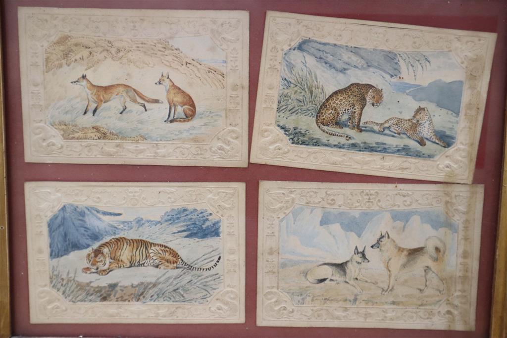 Victorian School, eight watercolours on card, Sporting scenes and studies of bid cats, wolves and foxes, each overall 8 x 11.5cm, in tw